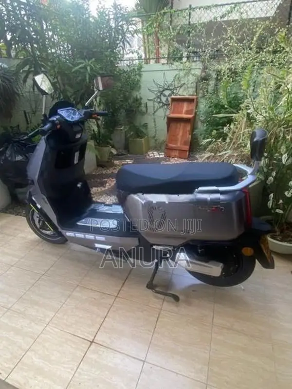 TAILG55 2026