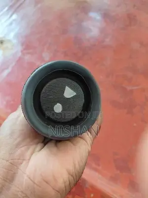 Jbl flip 6