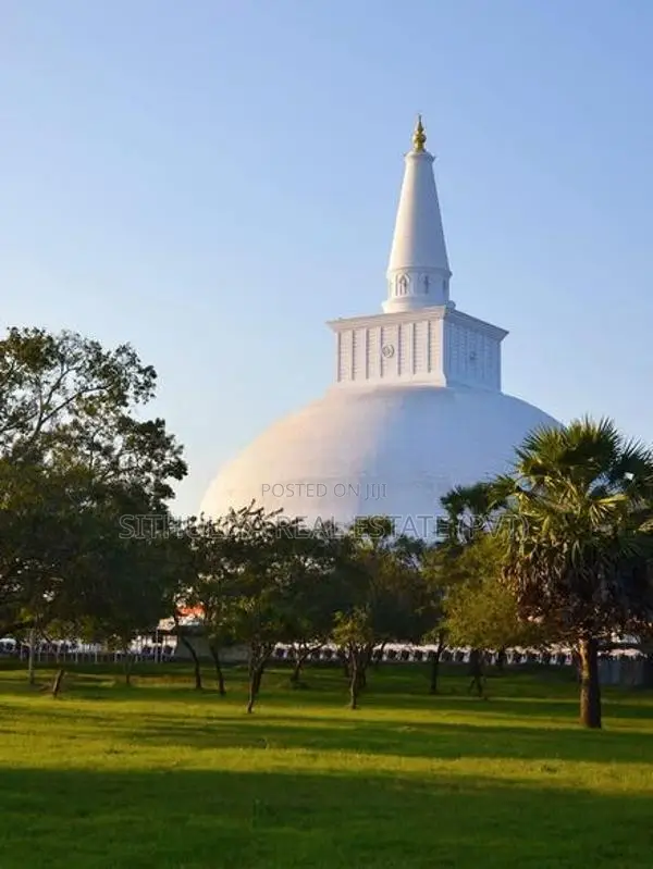 අනුරාධපුර සින්නක්කර ඉඩමක්