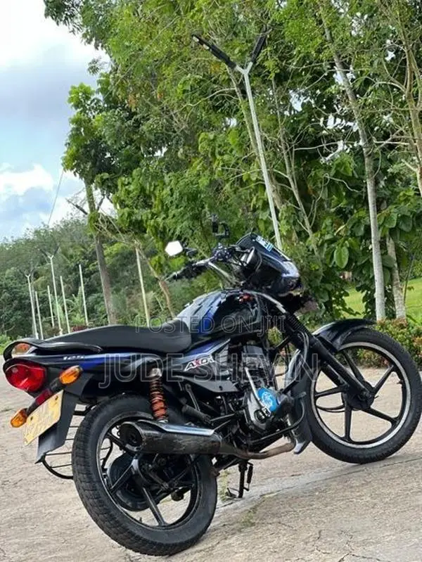 Bajaj Platina 125 2010
