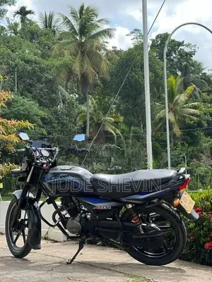 Bajaj Platina 125 2010