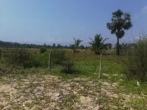 Beach front Land in Pasikuda