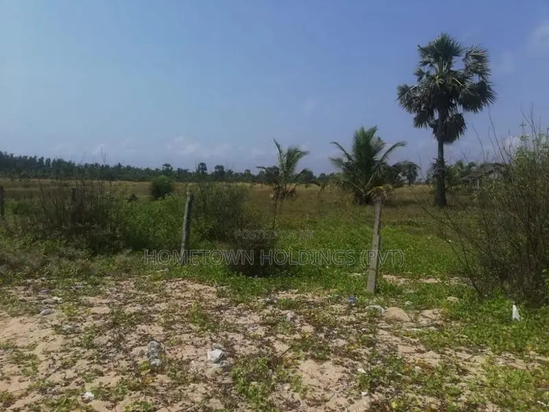 Beach front Land in Pasikuda