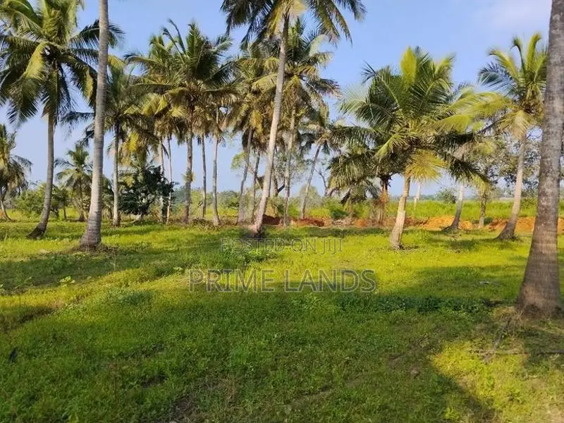 වටිනා නේවාසික බිම් කොටස් - නාච්චාදූව