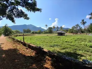 Land in Dambulla