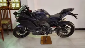 Kawasaki Ninja 250 Zx25r SE 2026