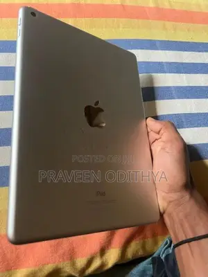 ipadOS version 17.7.11