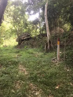 Land for Sale – Maligathanna, Kandy