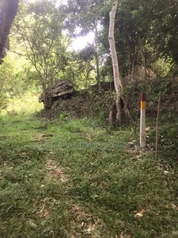 Land for Sale – Maligathanna, Kandy