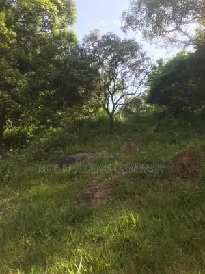 Land for Sale – Maligathanna, Kandy