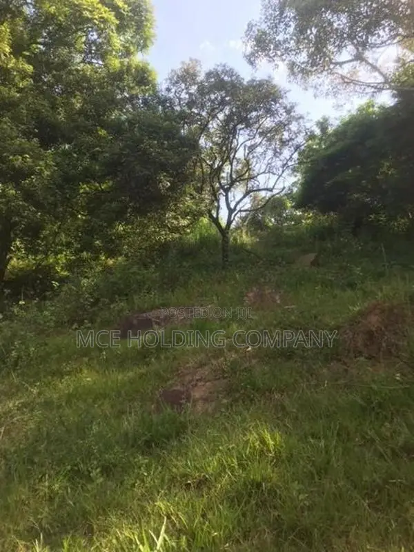 Land for Sale – Maligathanna, Kandy