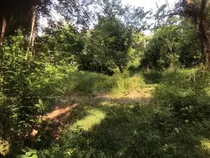 Land for Sale – Maligathanna, Kandy