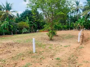 සින්නක්කර ඉඩම් කොටස් ටවුමට ලගින්ම