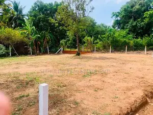 අනුරාධපුර ඉඩමක් පූජා නගරයට කිට්ටුවෙන්