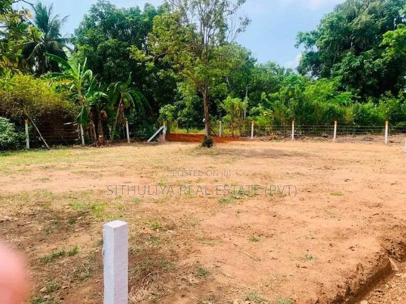 අනුරාධපුර ඉඩමක් පූජා නගරයට කිට්ටුවෙන්
