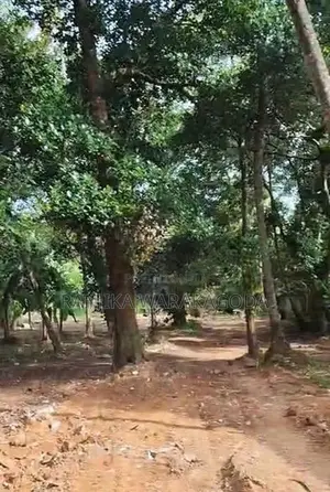 Commercial Land for Sale - Rajagiriya