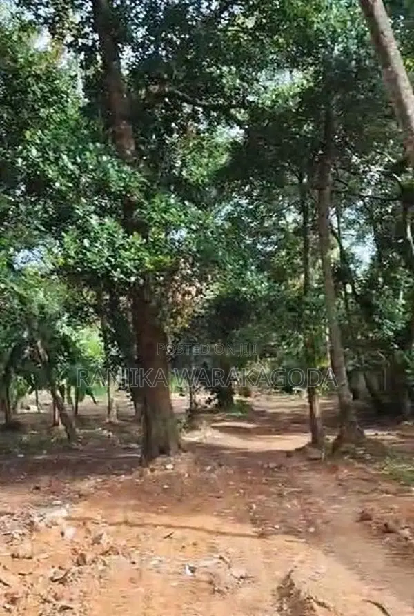 Commercial Land for Sale - Rajagiriya