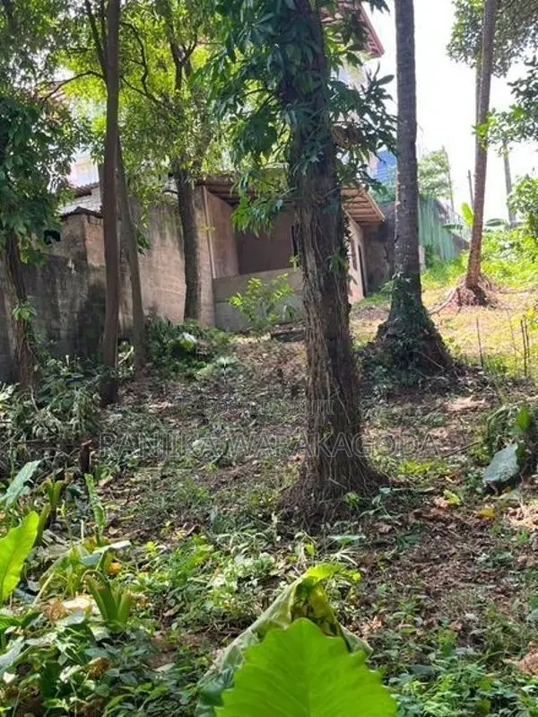 Commercial Land for Sale - Rajagiriya