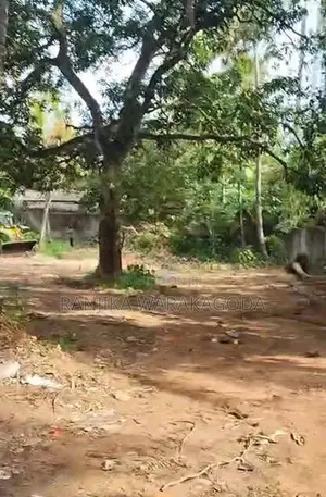 Commercial Land for Sale - Rajagiriya