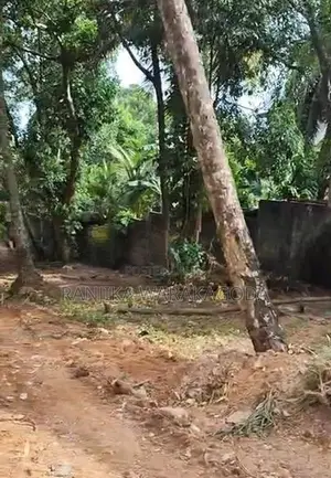 Commercial Land for Sale - Rajagiriya