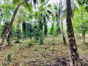 Premium Square Block Land for Sale in Malabe