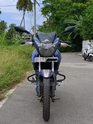 TVS Apache RTR 160 2019