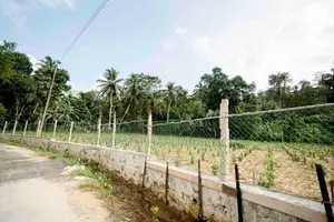 Land for Sale in Pitigala, Galle