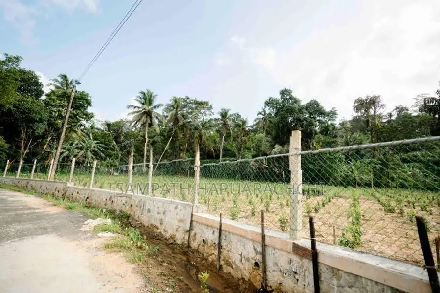 Land for Sale in Pitigala, Galle