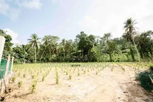 Land for Sale in Pitigala, Galle