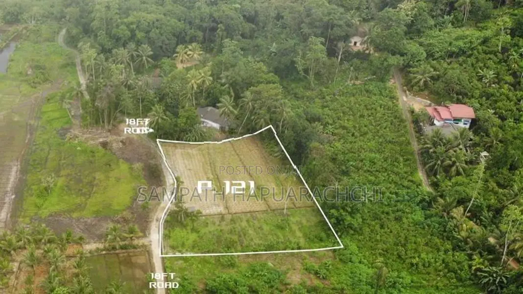 Land for Sale in Pitigala, Galle