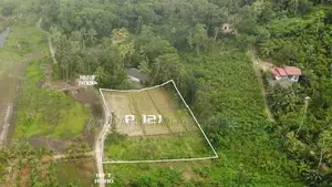 Land for Sale in Pitigala, Galle