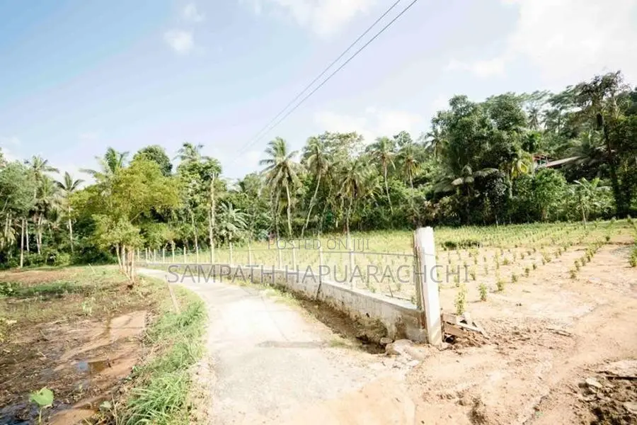 Land for Sale in Pitigala, Galle
