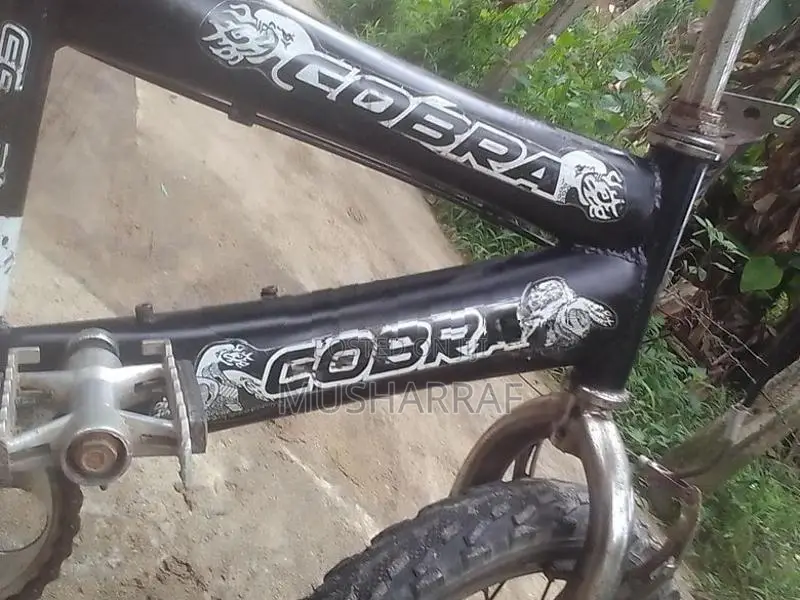 Bicycle