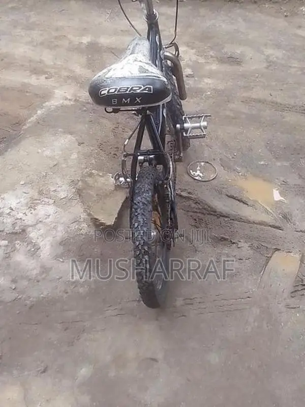 Bicycle