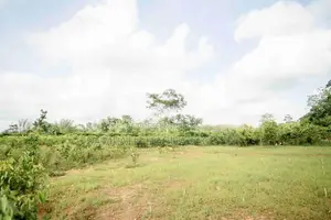 Land for Sale in Pitigala, Galle