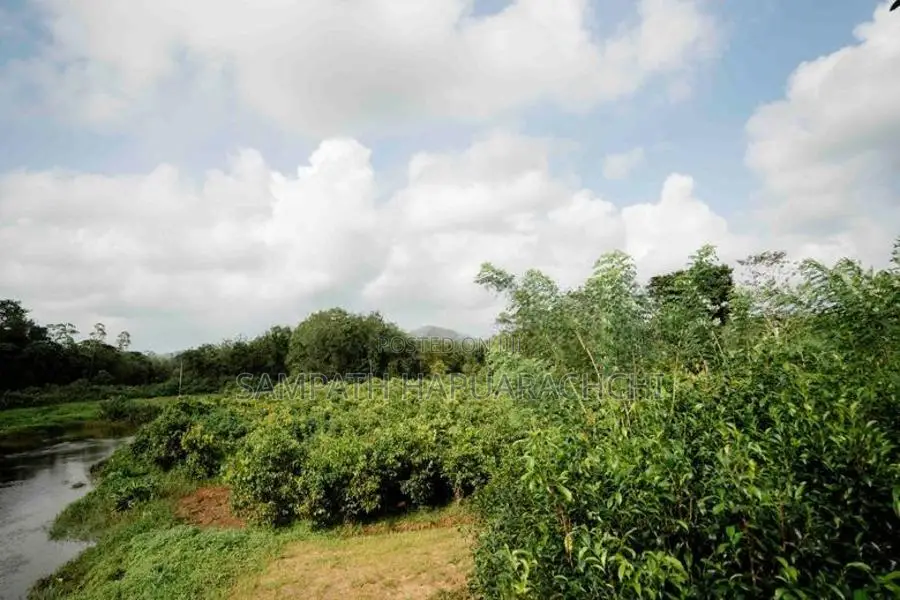 Land for Sale in Pitigala, Galle