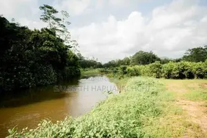 Land for Sale in Pitigala, Galle