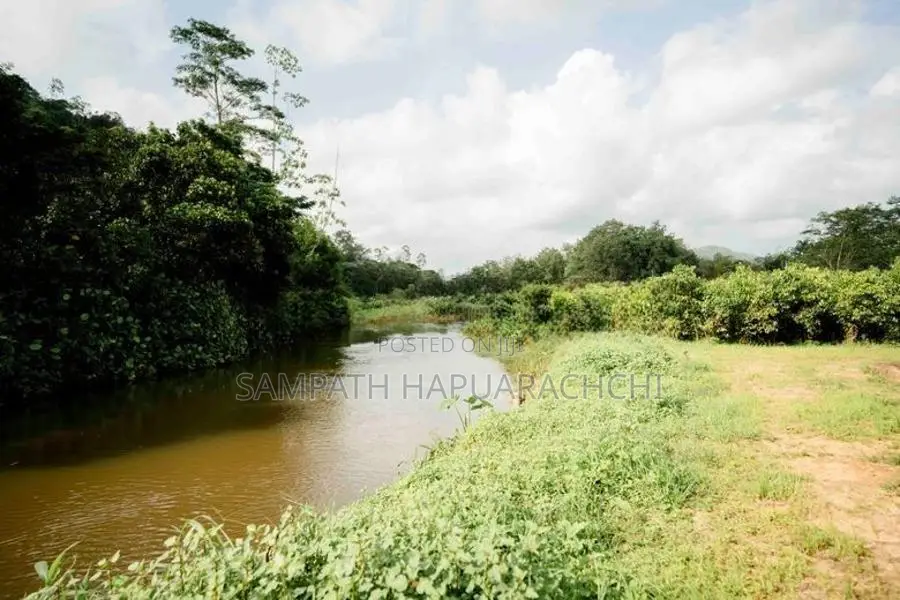 Land for Sale in Pitigala, Galle
