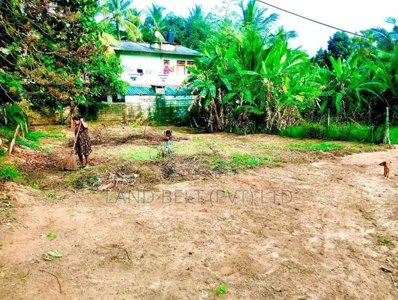 Thalagala Land for Sale