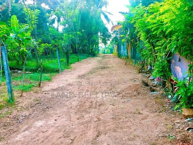 Thalagala Land for Sale