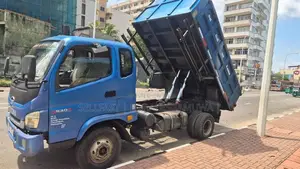 Foton Tipper Lorry 2019