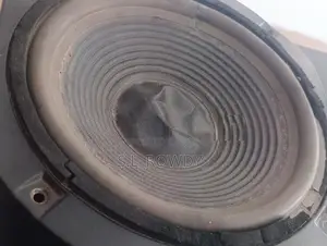 Speaker SP-WT-1055 (Used)
