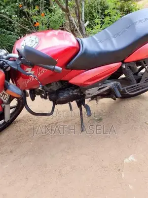 Bajaj Pulsar 180 2007