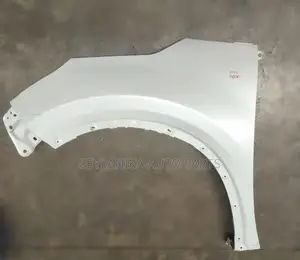Raize Fender Lh
