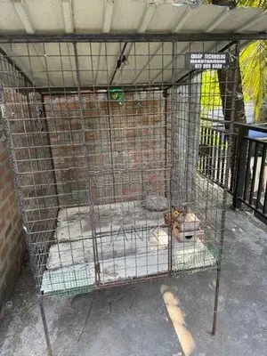 dog cage