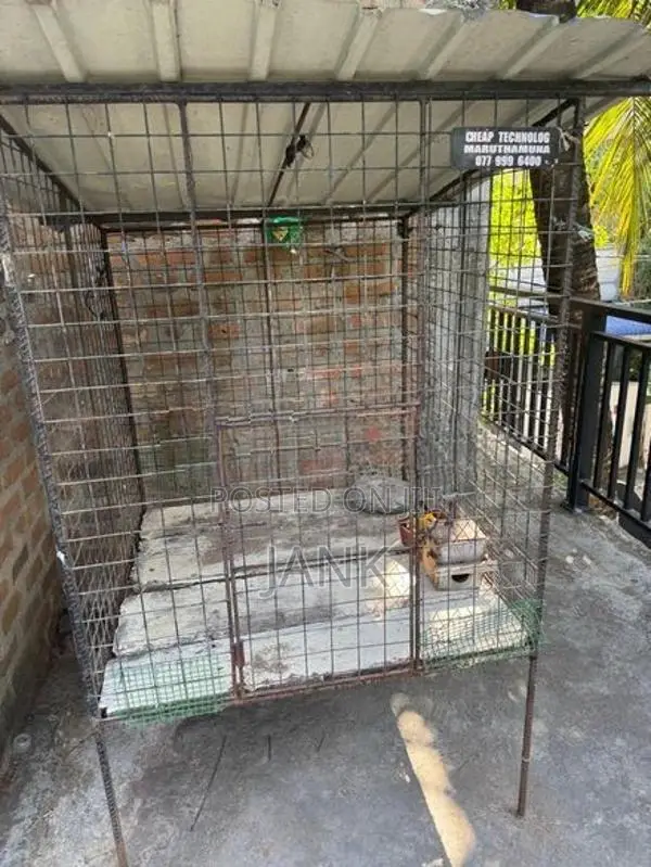 dog cage