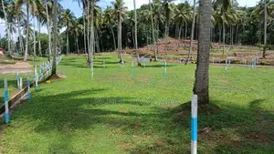 Land Near in Kurunagala K1 18/07