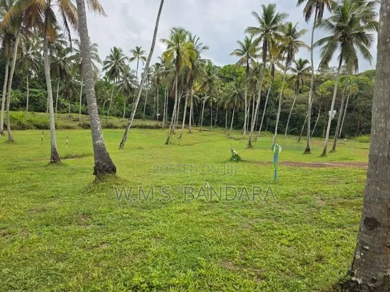 Land Near in Kurunagala K1 18/07