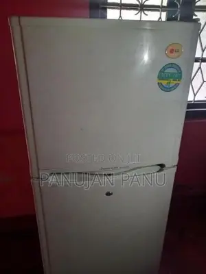 LG Express Cool Double Door Refrigerator