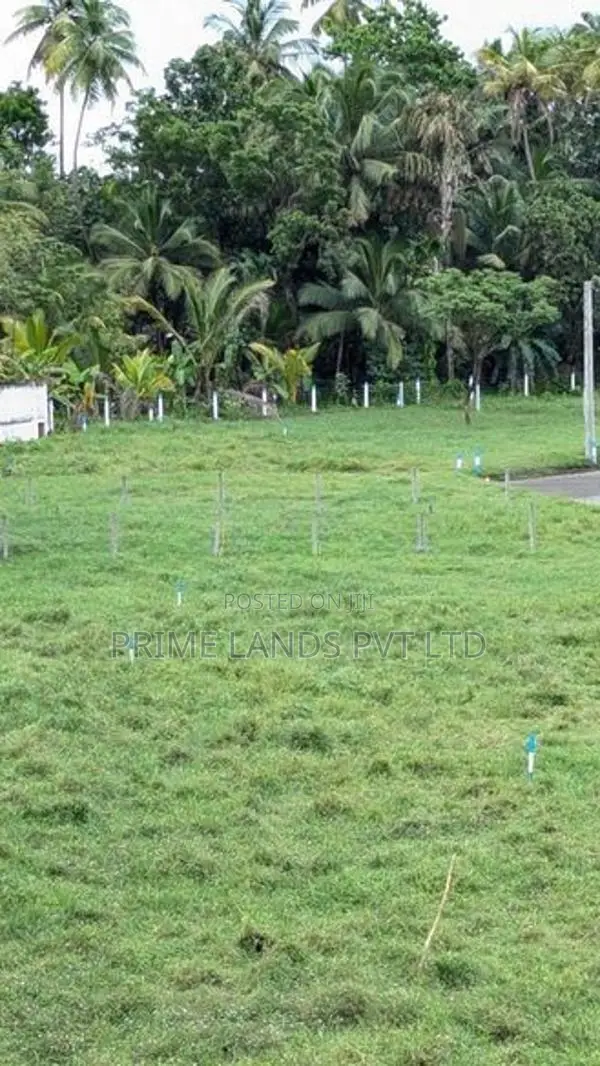 Kurunegala Ibbagamuwa A6 Road Facing Lands for Sale